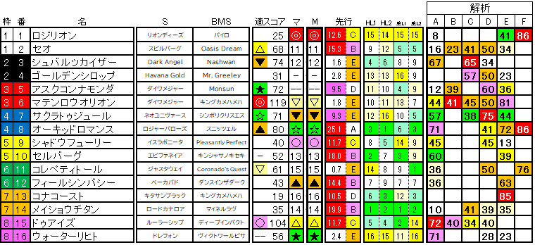 2025　京都金杯　ラップ適性